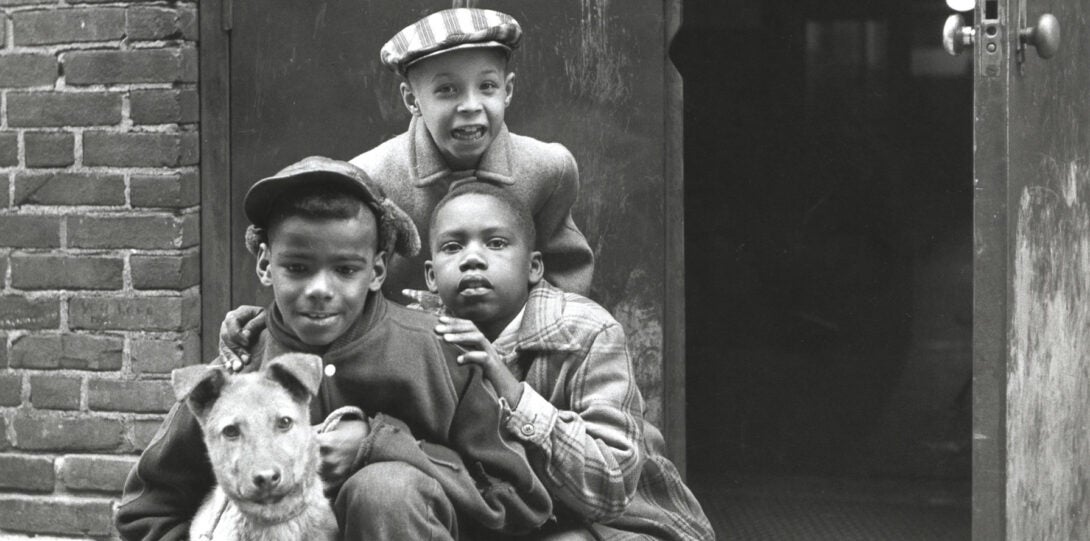 Three boys with a dog