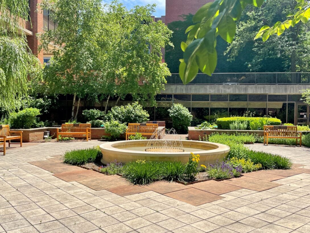 The Dorothy Bradley Atkins Medical Plant Garden at the College of Pharmacy