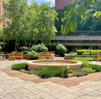 The Dorothy Bradley Atkins Medical Plant Garden at the College of Pharmacy 